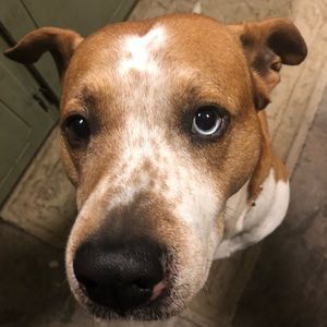 Meet your Posher, Don